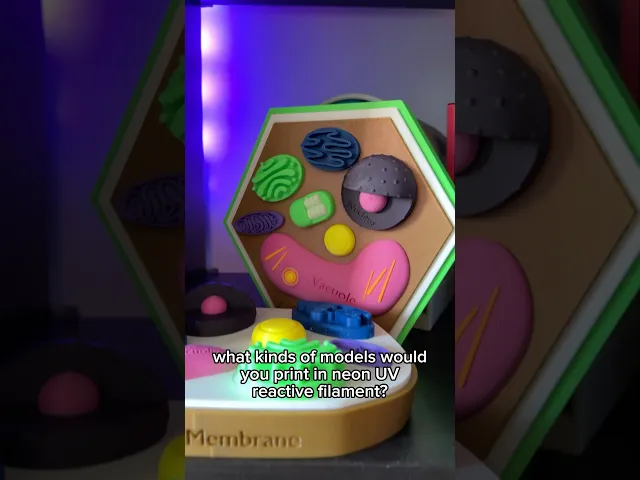Plant Cell Model w/ Labels video thumbnail