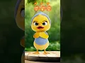 Download Lagu What a quick change in Mim Mim the duck’s emotions! 😂 #funny #mimmim #cute #cuteducks #baby #viral