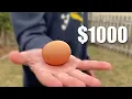 Lagu Break the Egg, Win $1,000
