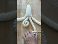 Download Lagu Fancy Mantou, Baozi \u0026 Jiaozi Shapes｜Satisfying\u0026Creative Dough Hacks#foodie#shorts#bunshapes
