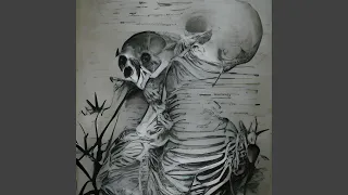 مرگ و میر دندنها