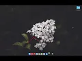 CAPTCHA Recognition with Deep Learning Python Flask Web App Computer Vision Project