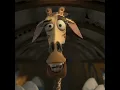i love you Gloria - Melman
