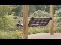 Download Lagu Relaxing Sleep Music, Relaxing Music Deep Sleep ( Bali Harmony )