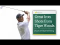 Great Iron Shots from Tiger Woods