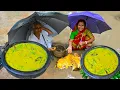 Download Lagu কাঁঠালের ডাল রান্না | বৃষ্টির দিনে মা ঠাকুমার হাতে স্বাদের এক ডাল রান্না | Jackfruit seeds recipe