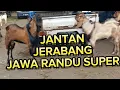 Download Lagu UPDATE HARGA KAMBING TERBARU‼️SABTU 6 SEPTEBER 2025,,DI PASAR KAMBING WLINGI BLITAR JATIM