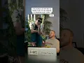 Download Lagu A Filipino Band Making Reggae Music That People Think Are From Hawaii Are Going Viral #shorts
