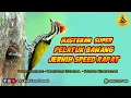 Download Lagu MASTERAN SUPER PELATUK BAWANG JERNIH SPEED RAPAT