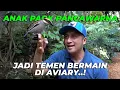 Download Lagu ANAK PAOK PANCAWARNA MAKIN AKRAB SAMA GW, SAMPE2 INDUKANNYA MULAI KAW1N LAGII..??