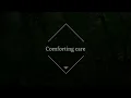 森の奥でうとうとしそうになりながら鳥のさえずりに耳を澄ます|癒し リラックス 森林浴【ASMR 4K】