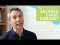 Why don t archaea cause disease