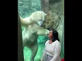 Polar bear attacks woman