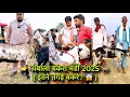 Download Lagu 👉 Ambala Bakra Mandi 2025 🐐 | Amazing video | If you haven't seen this then you haven't seen anyt...