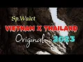 Sp.Walet Vietnam x Thailand