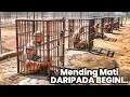 Download Lagu Narapidana Disini Mengaku Lebih Baik Mati Daripada Masuk Penjara Itu Lagi..