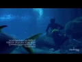 Birth of a shark at l'Aquarium de Paris