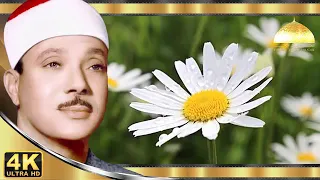 الشيخ عبد الباسط عبد الصمد ابتهالات رائعه دندنها
