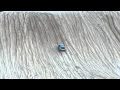Download Lagu Stock Subaru shames everyone at test hill