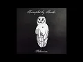 TRAMPLED BY TURTLES - VICTORY