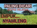 Download Lagu GENDING JAWA PALING DICARI - SREPEG PALARAN EMPUK NYAMLENG - GENDING UYON UYON KLASIK - JAMPI SAYAH