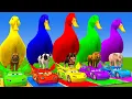 Download Lagu 5 Giant Duck Cartoon,Cow,Elephant,Tiger,Lion,Dinosaur,Paint Wild Animals Crossing Fountain Animation