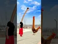 Lagu Two-headed rooster pecks everyone and kills it original video Funny video