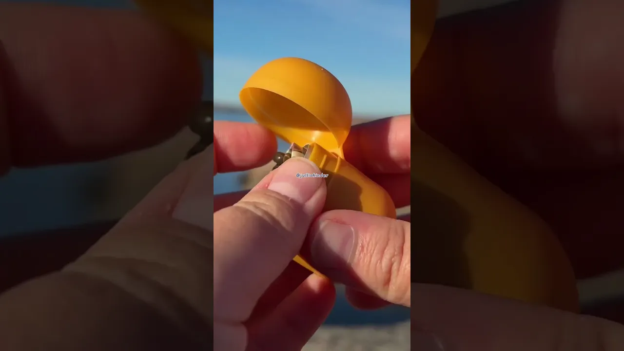 Kinder surprise natoons