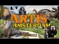 Download Lagu ARTIS Amsterdam - a must-see capital zoo? | Zoo Review
