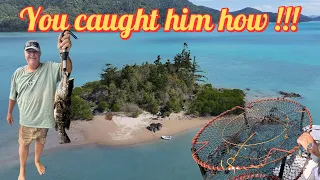 Crabbing Gone Wrong… or Right? 😂 Sailing Whitsunday Islands