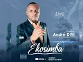 Le premier album de André Diyi wa Ntumba 2014