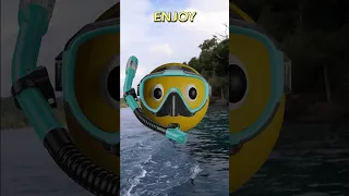 Sailing and Snorkeling Indo 😍 #shorts