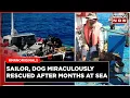 Australian Sailor Dog Rescued After Being Lost At Sea For Months Tim Shaddock World News