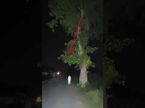 bhaiya mujhe bacha Lo 😰 #scry #ghost #horror #3am #shorts