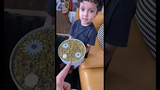 تحدي الوجبة المفتوحة 