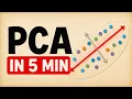How AI Compresses 100 Dimensions Into 2 PCA Explained