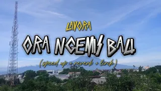 ora ngemis bali lavora speed up reverb lirik overlay vibes