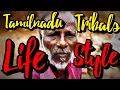 Download Lagu பசித்தவயிற்றோடு எவ்வளவு நேரம்தான் கண்மூடி படுத்திருப்பது!மலைவாசியின் 24மணிநேர வாழ்வியல்|TRIBES TAMIL