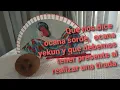 Que nos dice ocana sorde ocana yekun y que debemos tener presente al realizar una tirada