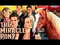 Download Lagu THE MIRACLE PONY | Full FAMILY Movie HD