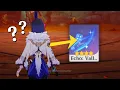 Can t Get Yelan Echo WATCH THIS