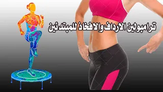                                              دندنها