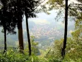 Download Lagu Setangkai Bunga Mawar - Hendri Rotinsulu