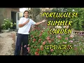 Download Lagu Episode 77 What Is Growing In Our Portuguese Garden