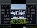 Download Lagu NICULINA STOICAN VERDE I FRUNZA LA SALCUTA KARAOKE VERSURI COVER