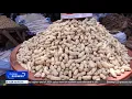 Download Lagu Mali suspends agricultural exports