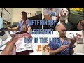 Vet Assistant Work Vlog