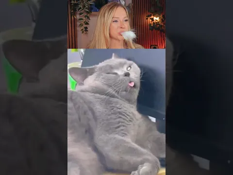 Try Not To Laugh Challenge 879