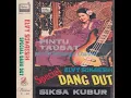 Download Lagu ELVY SUKAESIH -- DERITAKU
