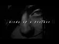 Lagu Billie Eilish, BIRDS OF A FEATHER | slowed + reverb |